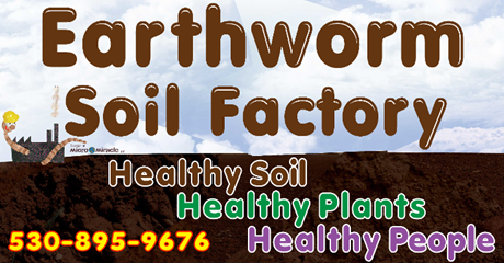 Earthworm Soil Factory